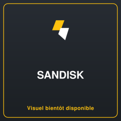 WD Red SSD SA500 NAS 2To 2.5p SATA POWERED BY SANDISK