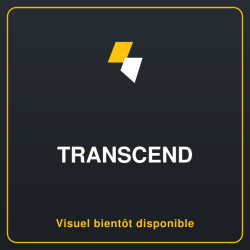 TRANSCEND 8Go micro SDHC Class10 MLC Chips without adapter