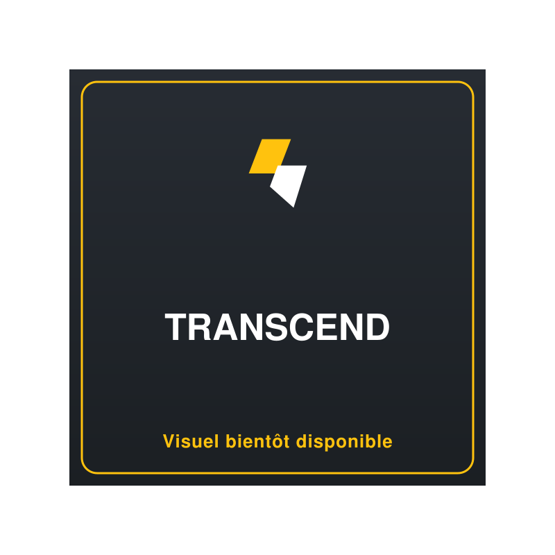 TRANSCEND 32Go M.2 2242 SSD SATA3 MLC