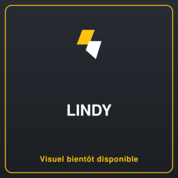 LINDY 6 way Mains Gang Socket with switch FR France