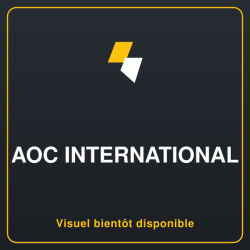 AOC 24E1Q 23.8p - 1920 x 1080 Full HD (1080p) 60 Hz - IPS - 250 cd/m2 - 1000:1 - 5 ms - HDMI, VGA, DisplayPort - haut-parleurs
