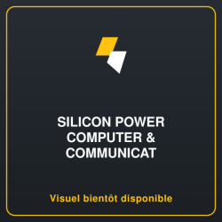 SILICON POWER DDR4 4Go 2400MHz CL17 SO-DIMM 1.2V