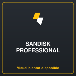 SANDISK Professional G-DRIVE 18To 3.5p USB-C 5Gbps USB 3.1 Enterprise-Class Desktop Hard Drive - Space Grey