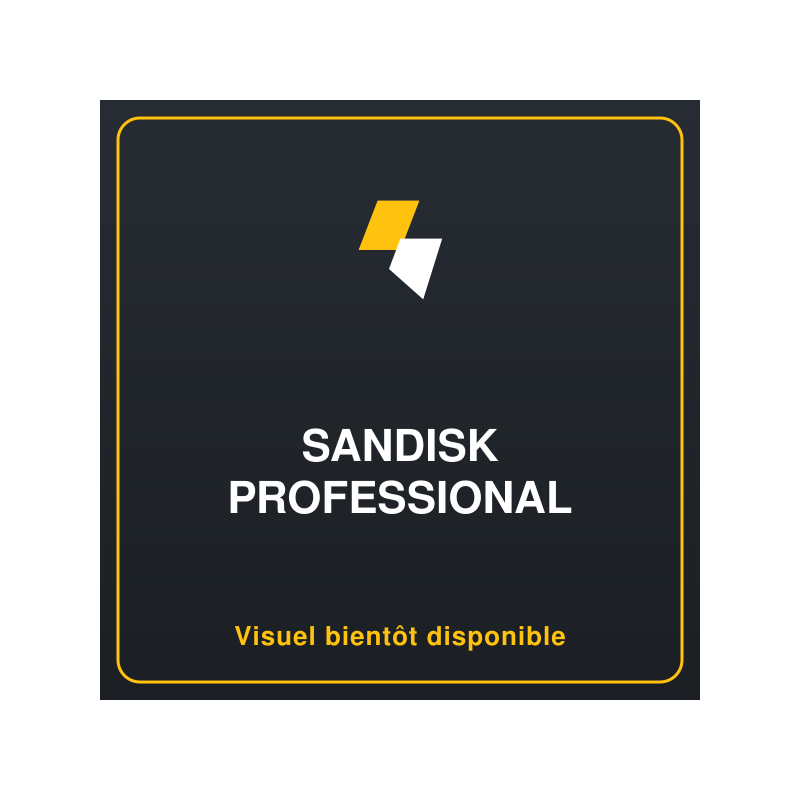 SANDISK Professional G-DRIVE 18To 3.5p USB-C 5Gbps USB 3.1 Enterprise-Class Desktop Hard Drive - Space Grey