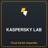 KASPERSKY Premium 10 Postes /2 ans