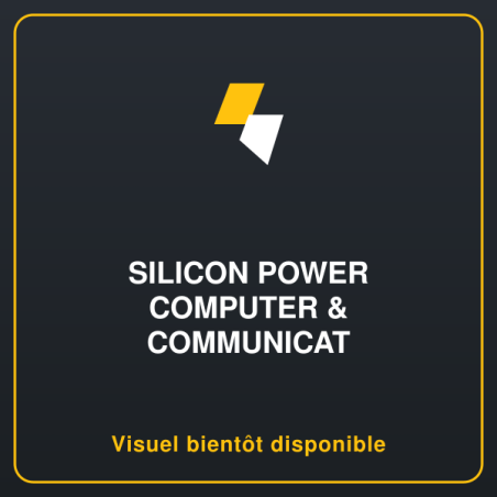 SILICON POWER External SSD PC60 1To USB-C 540/500 Mo/s Black