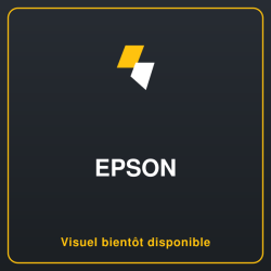 EPSON 5LB T596 ink cartridge white standard capacity 350ml 1-pack