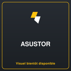 ASUSTOR NIMBUSTOR - AS5402T - NAS 2 baies - Intel Celeron N5105 Quad-Core - 4Go DDR4 - 2.5GbE x2 - NVMe - Tour - Garantie 3 ans