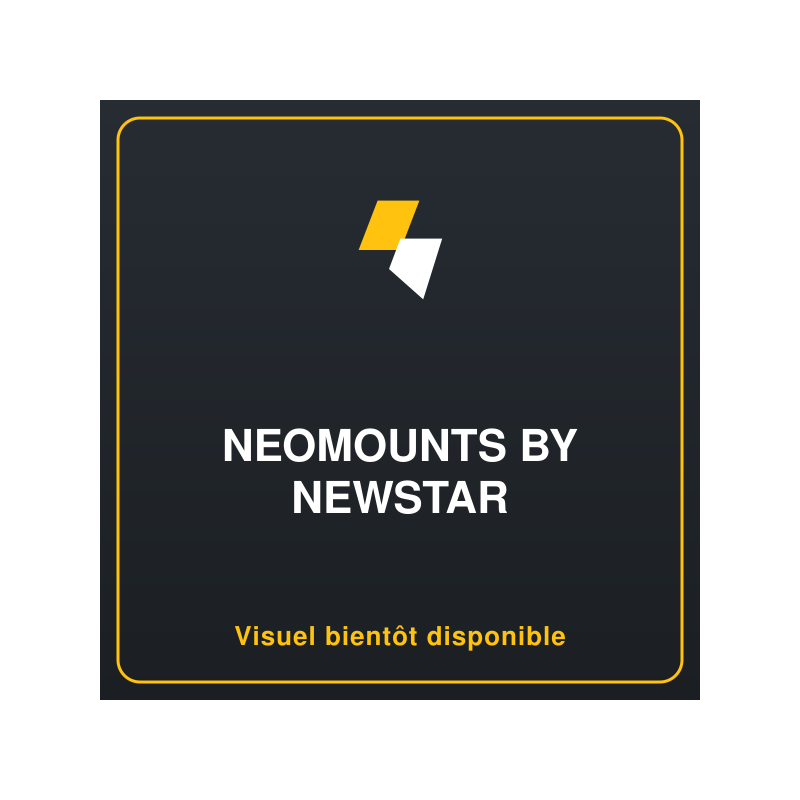 NEOMOUNTS vertical laptop stand silver
