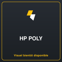 HP Poly Mission 625 Stereo USB Wired Headset WW