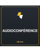 Audioconférence