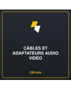 Câbles et adaptateurs audio vidéo