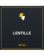 Lentille