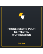 Processeurs pour serveurs, workstation
