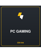 PC Gaming