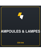 Ampoules & Lampes