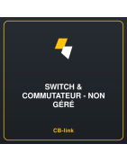 Switch & Commutateur - Non géré