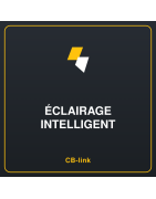 Éclairage intelligent