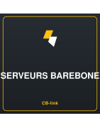 Serveurs Barebone