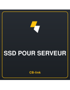 SSD pour serveur