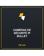 Caméras de sécurité IP Bullet