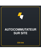 Autocommutateur sur site