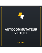 Autocommutateur virtuel