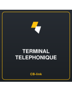 Terminal telephonique