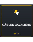 Câbles cavaliers